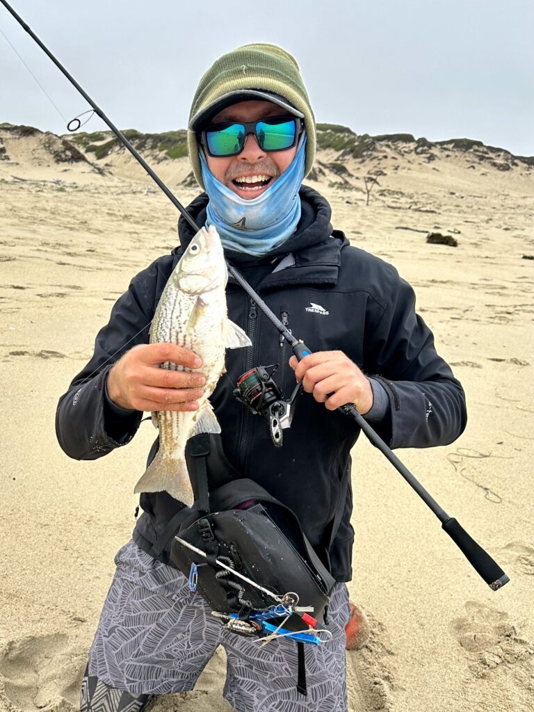 Small striper caught on a light tackle setup and Carolina Rig with an egg fishing sinker by the author