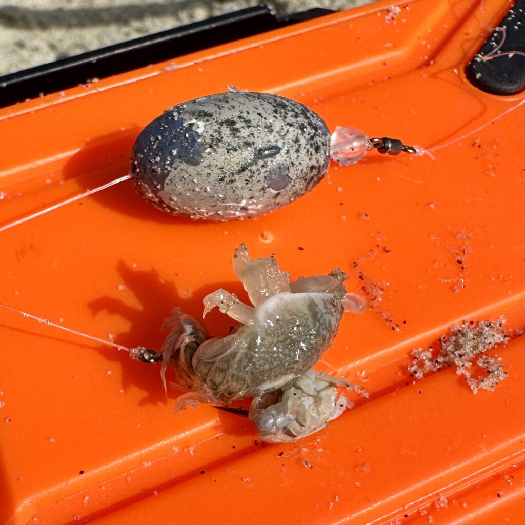 egg sinker surf fishing sinkers carolina rig c rig